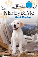 Marley & Me: Meet Marley (Level 1 Reader)
