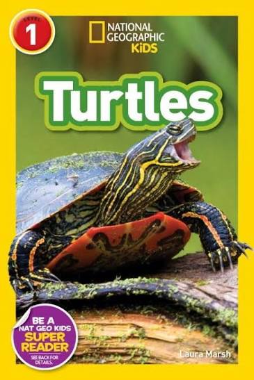 National Geographic Level 1 Reader : Turtles